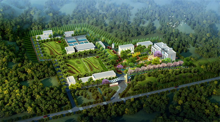 简阳二水厂成效图