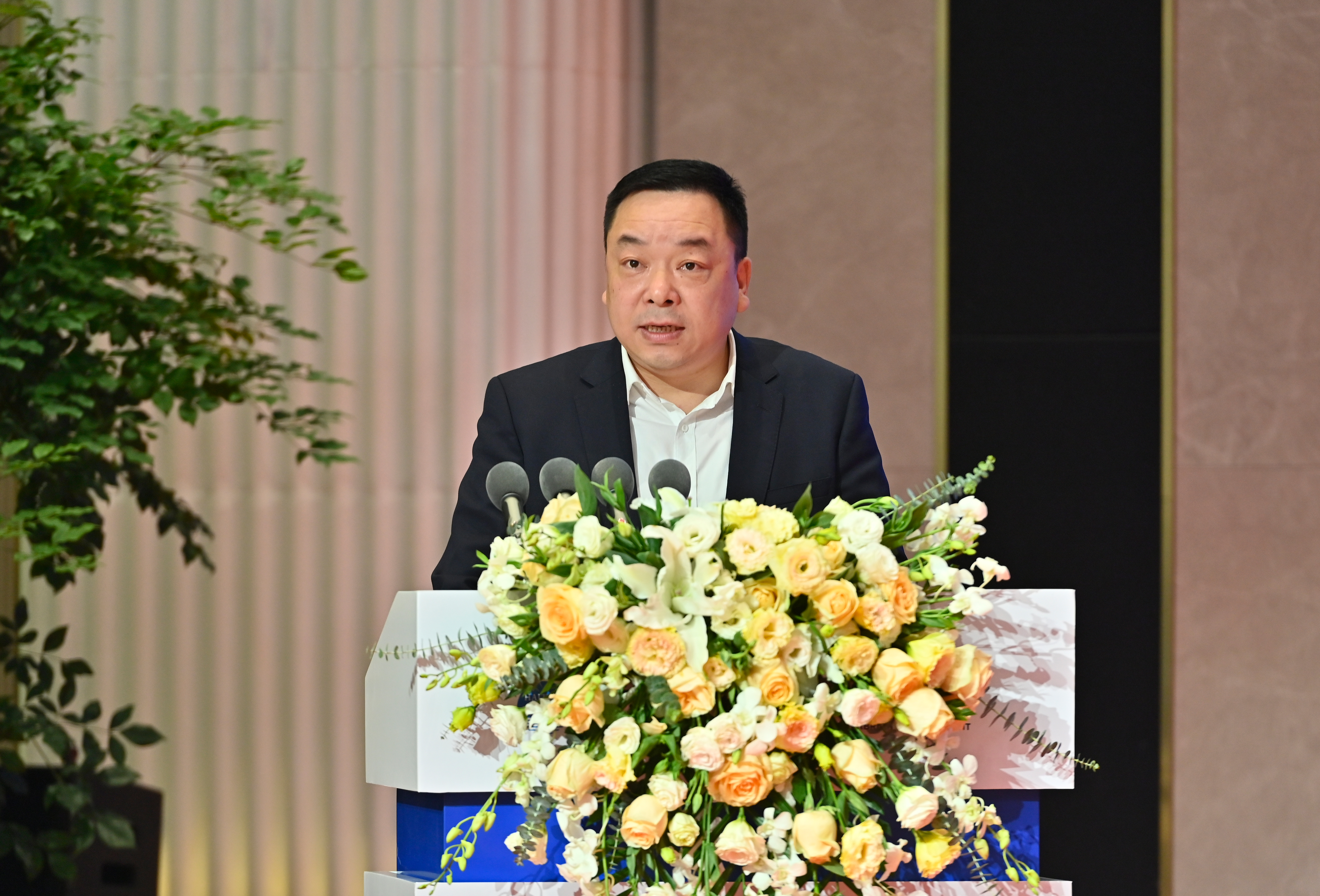 20250107092303_66667